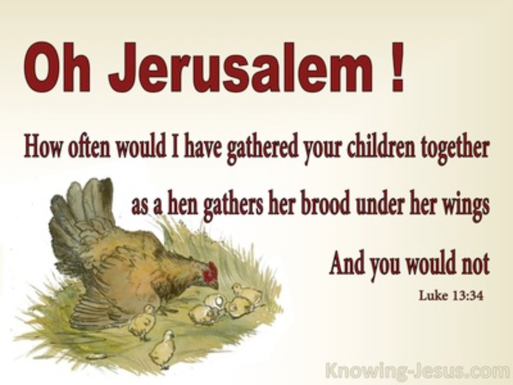 Luke+13-34+As+A+Hen+Gathers+He