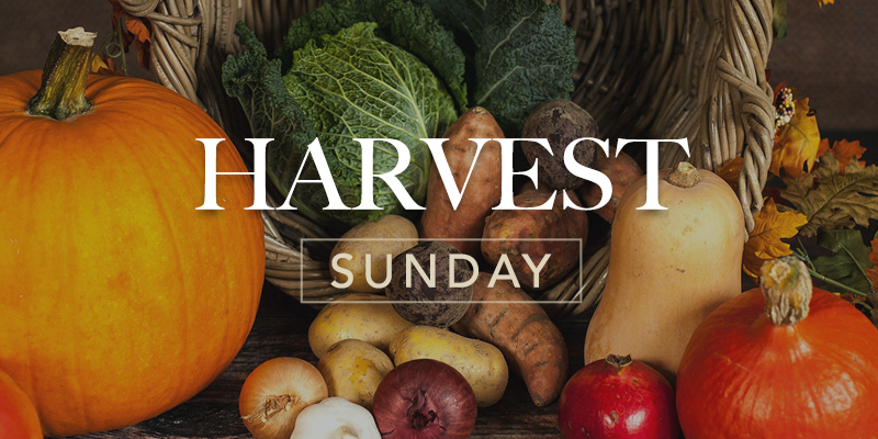 harvestsunday